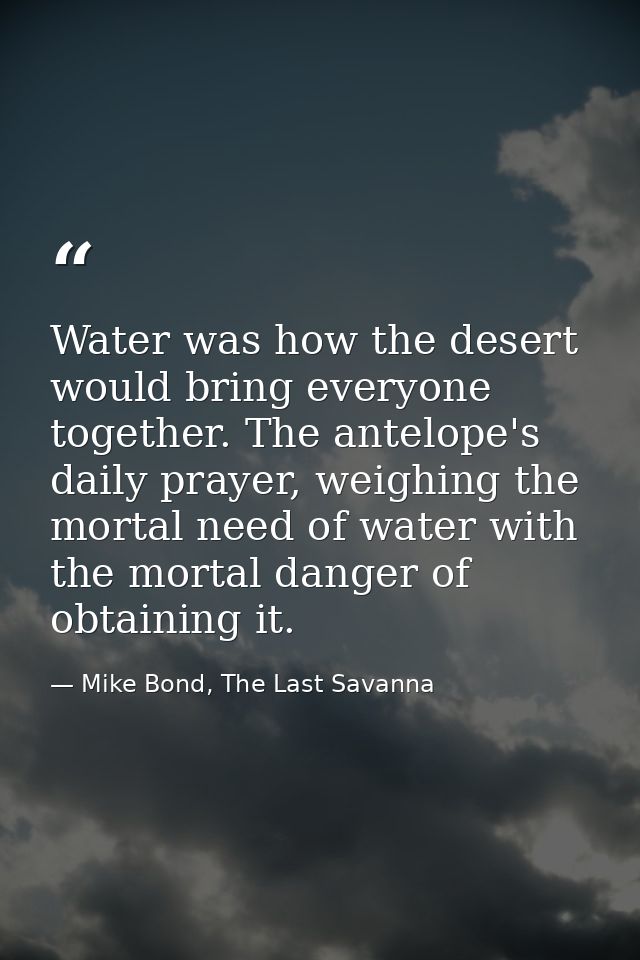 Water was how the desert would bring everyone together. The antelope's daily prayer, weighing the mortal need of water w — Mike Bond, The Last Savanna
