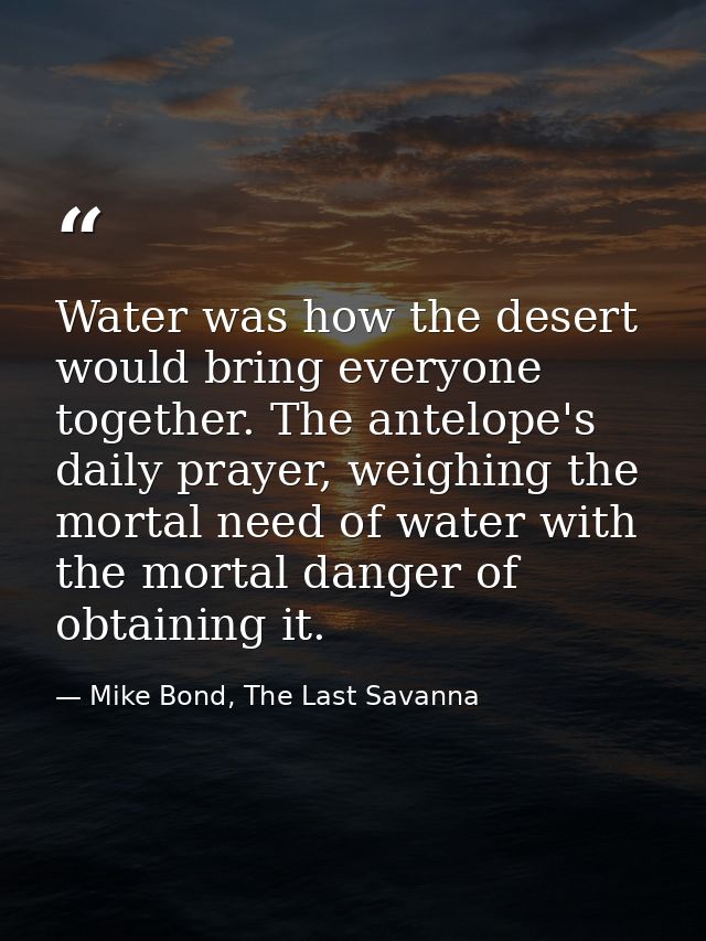 Water was how the desert would bring everyone together. The antelope's daily prayer, weighing the mortal need of water w — Mike Bond, The Last Savanna