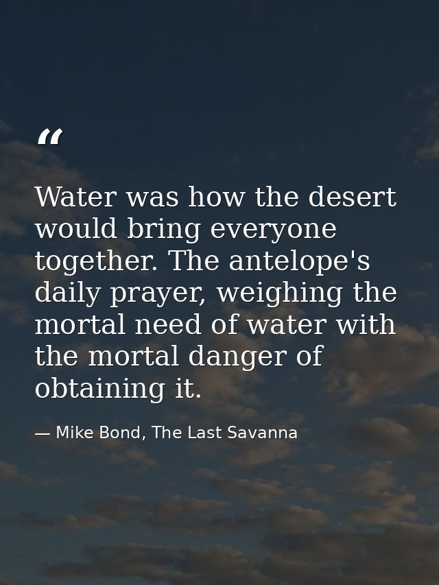 Water was how the desert would bring everyone together. The antelope's daily prayer, weighing the mortal need of water w — Mike Bond, The Last Savanna