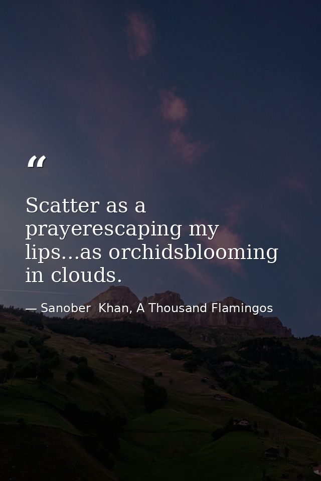 Scatter as a prayerescaping my lips...as orchidsblooming in clouds. — Sanober  Khan, A Thousand Flamingos