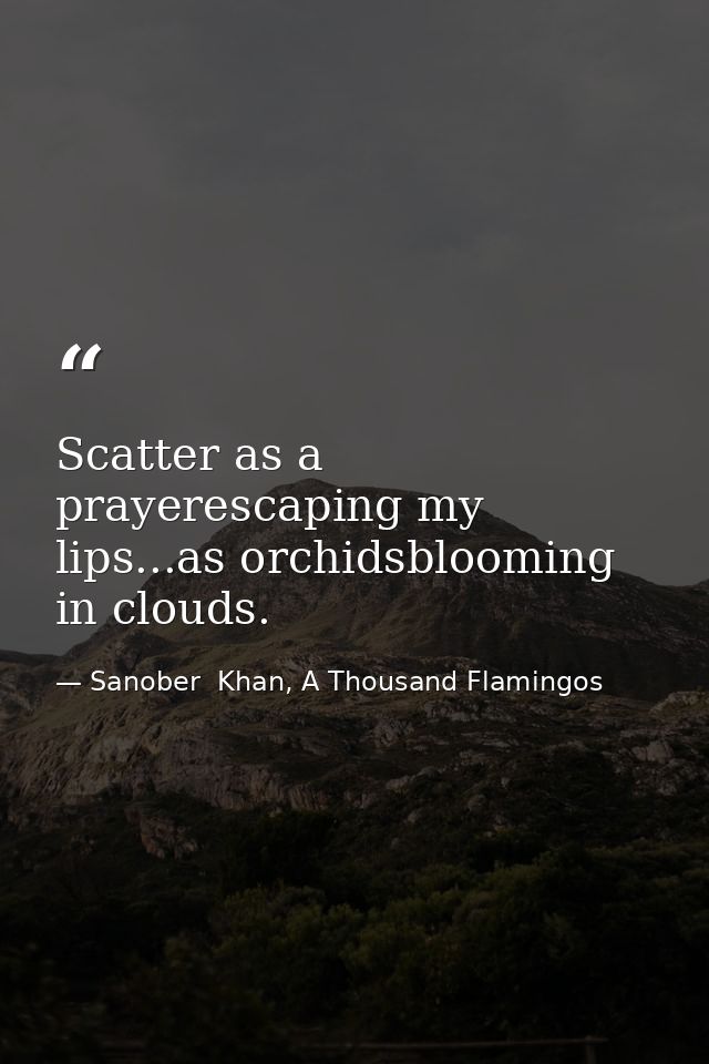Scatter as a prayerescaping my lips...as orchidsblooming in clouds. — Sanober  Khan, A Thousand Flamingos
