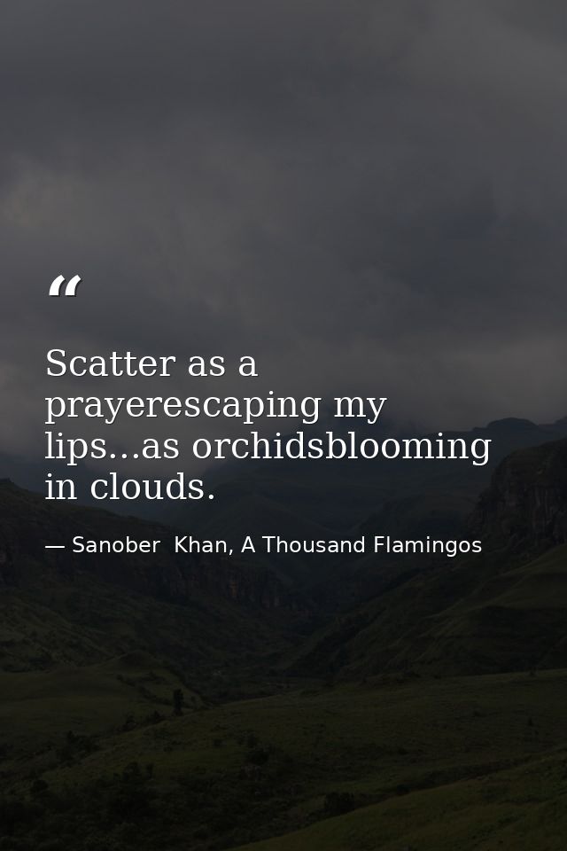 Scatter as a prayerescaping my lips...as orchidsblooming in clouds. — Sanober  Khan, A Thousand Flamingos