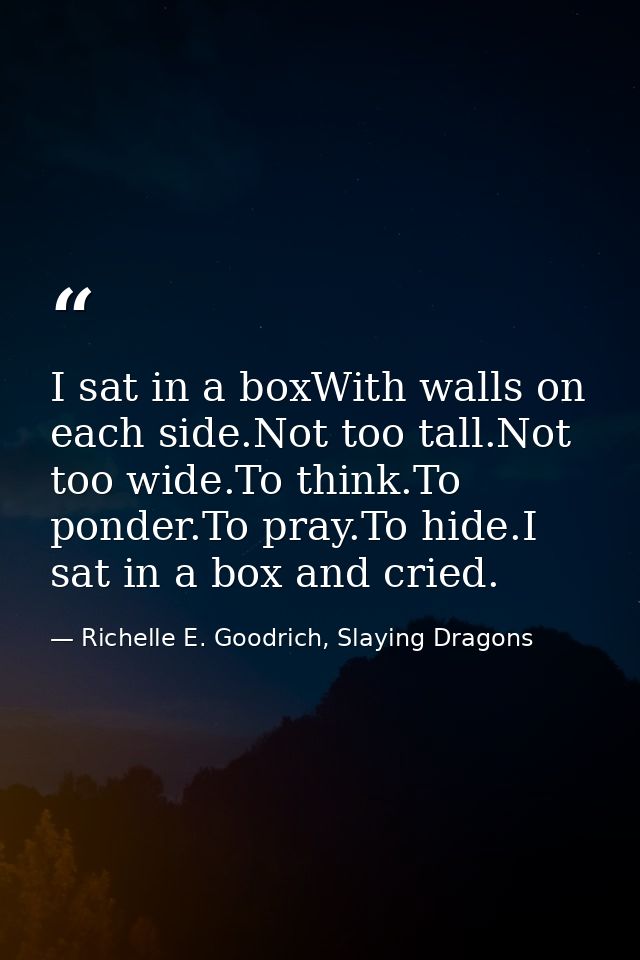 I sat in a boxWith walls on each side.Not too tall.Not too wide.To think.To ponder.To pray.To hide.I sat in a box and cr — Richelle E. Goodrich, Slaying Dragons