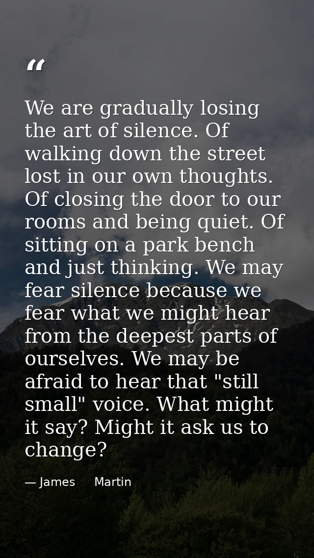We are gradually losing the art of silence. Of walking down the street lost in our own thoughts. Of closing the door to  — James     Martin