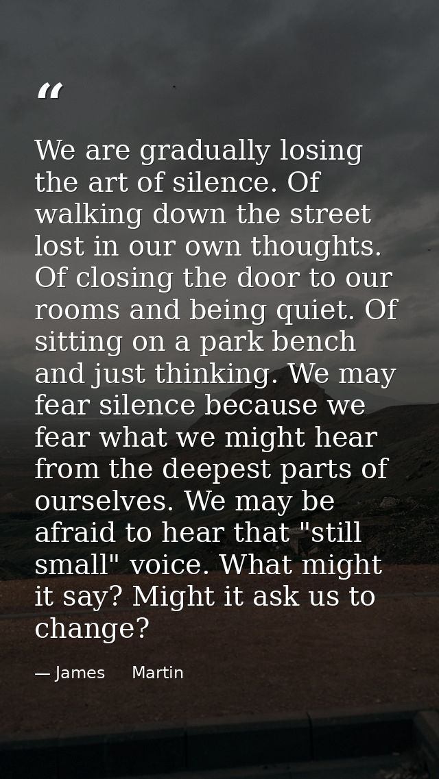 We are gradually losing the art of silence. Of walking down the street lost in our own thoughts. Of closing the door to  — James     Martin
