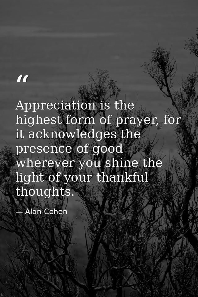Appreciation is the highest form of prayer, for it acknowledges the presence of good wherever you shine the light of you — Alan Cohen