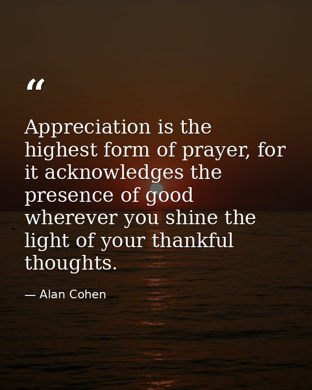 Appreciation is the highest form of prayer, for it acknowledges the presence of good wherever you shine the light of you — Alan Cohen