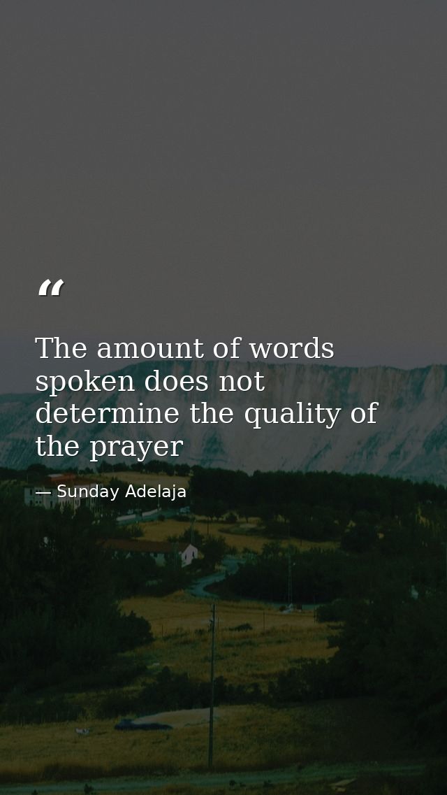 The amount of words spoken does not determine the quality of the prayer — Sunday Adelaja
