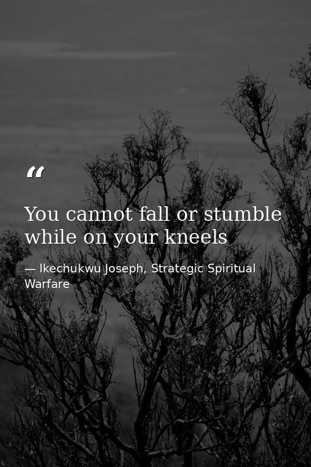 You cannot fall or stumble while on your kneels — Ikechukwu Joseph, Strategic Spiritual Warfare