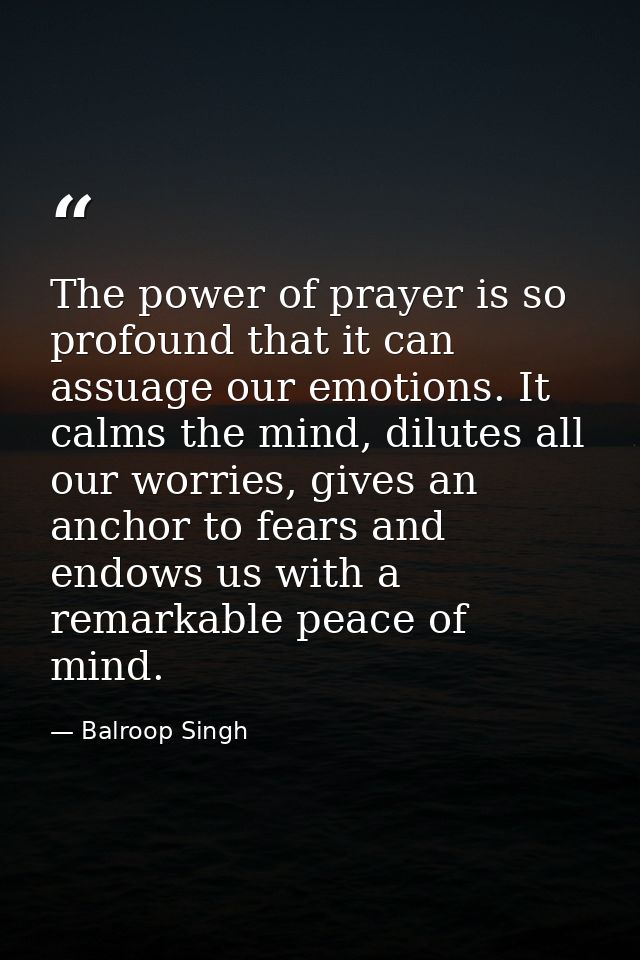 The power of prayer is so profound that it can assuage our emotions. It calms the mind, dilutes all our worries, gives a — Balroop Singh