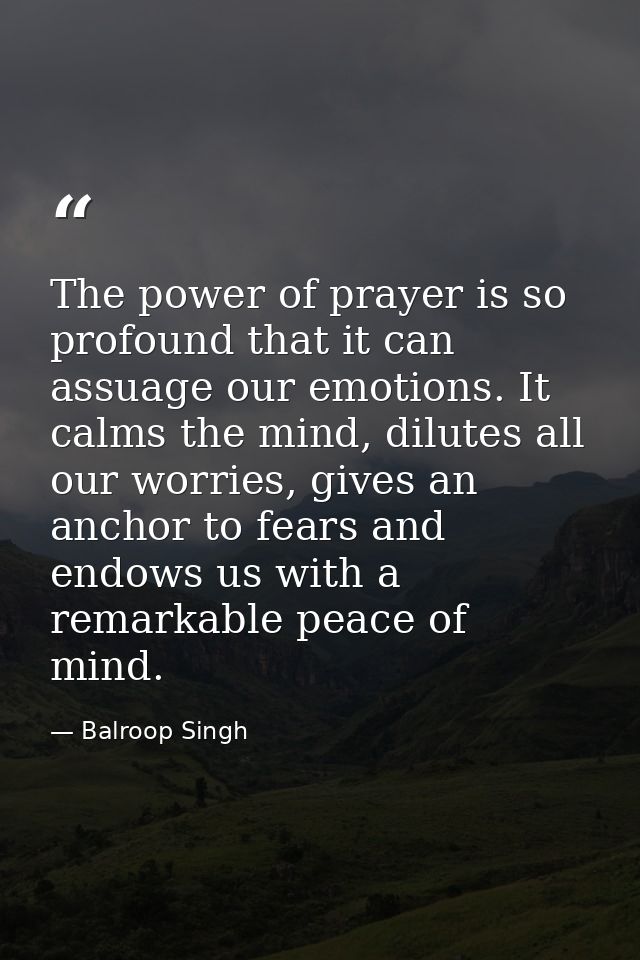 The power of prayer is so profound that it can assuage our emotions. It calms the mind, dilutes all our worries, gives a — Balroop Singh
