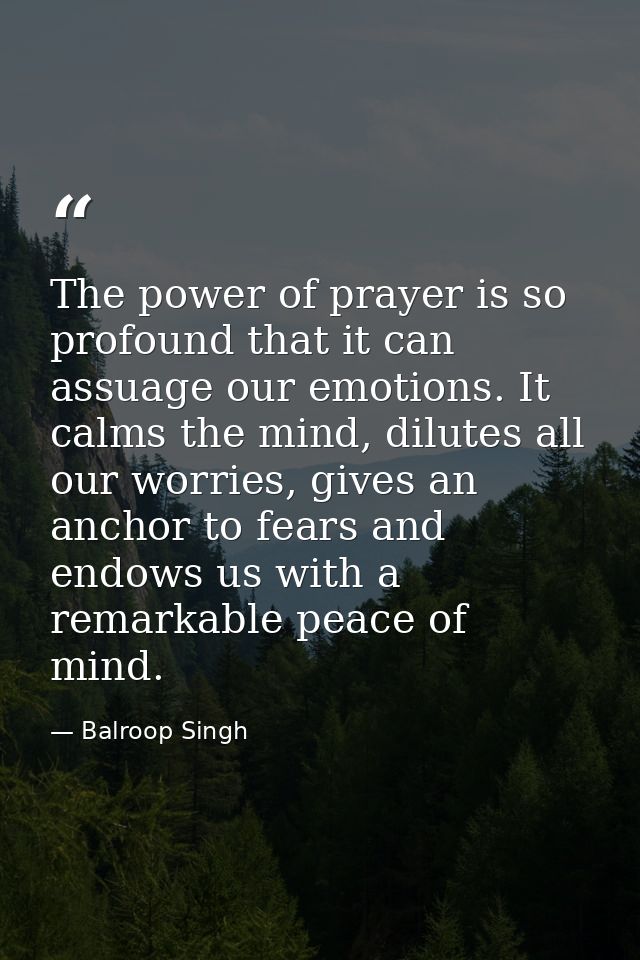 The power of prayer is so profound that it can assuage our emotions. It calms the mind, dilutes all our worries, gives a — Balroop Singh