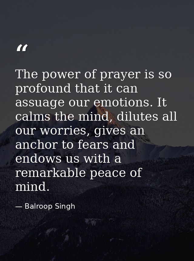 The power of prayer is so profound that it can assuage our emotions. It calms the mind, dilutes all our worries, gives a — Balroop Singh