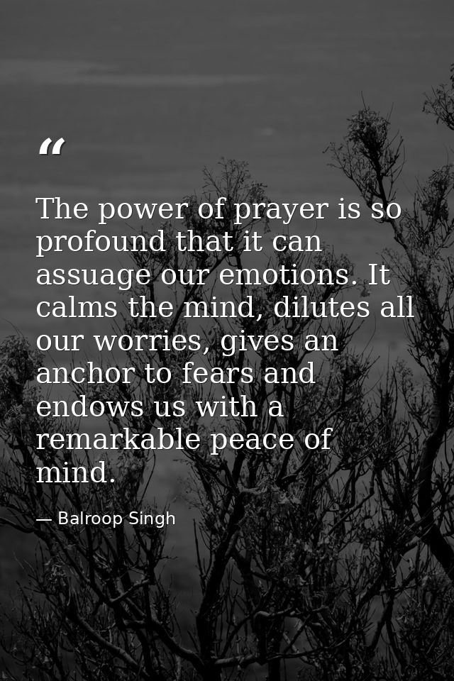 The power of prayer is so profound that it can assuage our emotions. It calms the mind, dilutes all our worries, gives a — Balroop Singh