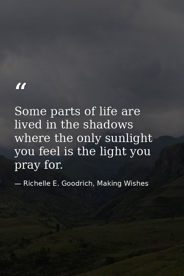 Some parts of life are lived in the shadows where the only sunlight you feel is the light you pray for. — Richelle E. Goodrich, Making Wishes