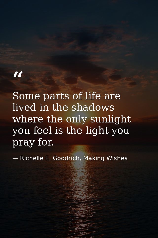 Some parts of life are lived in the shadows where the only sunlight you feel is the light you pray for. — Richelle E. Goodrich, Making Wishes