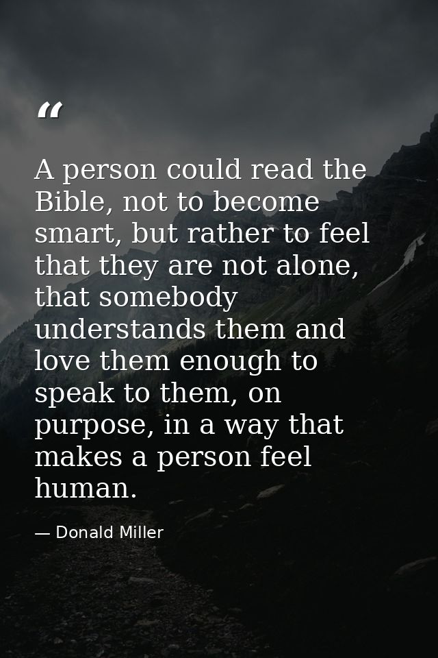 A person could read the Bible, not to become smart, but rather to feel that they are not alone, that somebody understand — Donald Miller