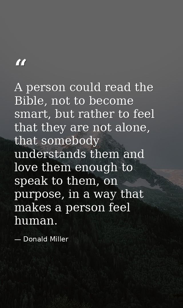 A person could read the Bible, not to become smart, but rather to feel that they are not alone, that somebody understand — Donald Miller
