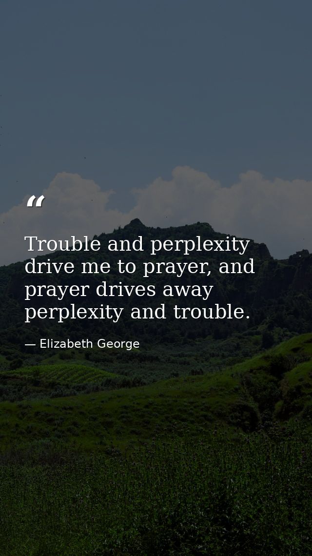 Trouble and perplexity drive me to prayer, and prayer drives away perplexity and trouble. — Elizabeth George