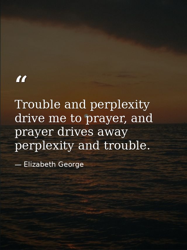 Trouble and perplexity drive me to prayer, and prayer drives away perplexity and trouble. — Elizabeth George