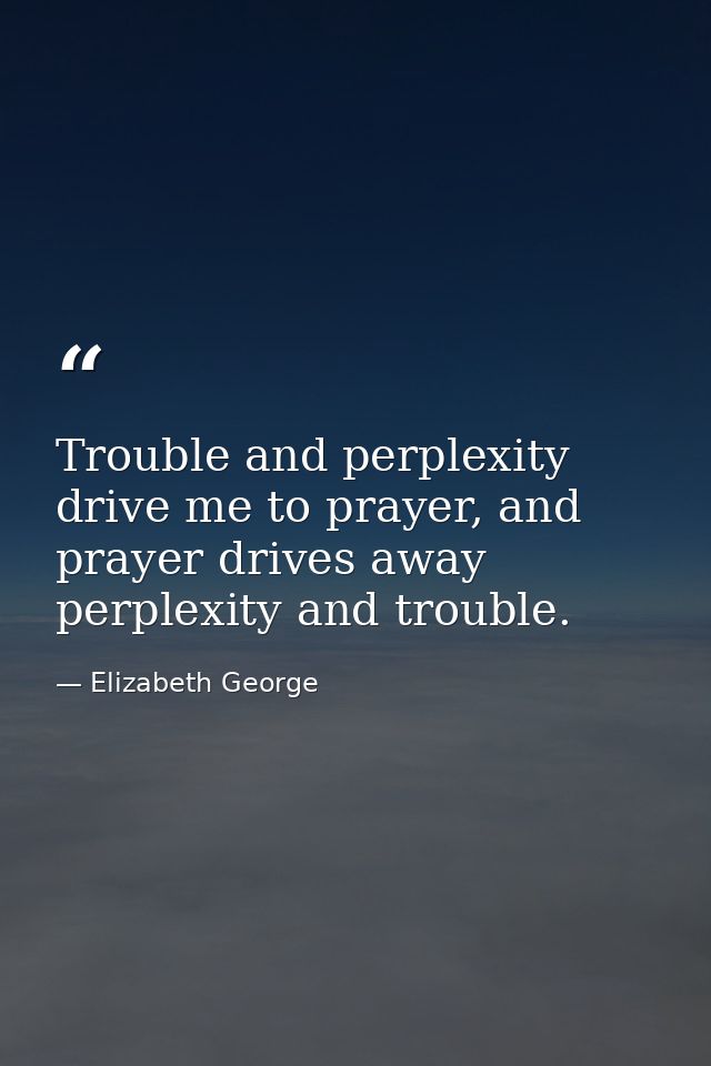 Trouble and perplexity drive me to prayer, and prayer drives away perplexity and trouble. — Elizabeth George