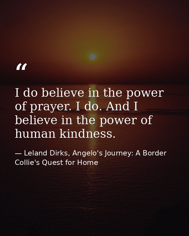 I do believe in the power of prayer. I do. And I believe in the power of human kindness. — Leland Dirks, Angelo's Journey: A Border Collie's Quest for Home