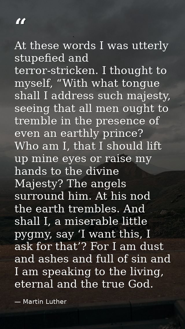 At these words I was utterly stupefied and terror-stricken. I thought to myself, “With what tongue shall I address such  — Martin Luther