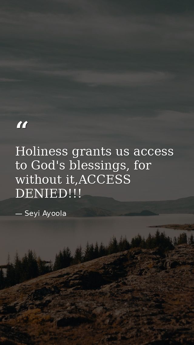 Holiness grants us access to God's blessings, for without it,ACCESS DENIED!!! — Seyi Ayoola