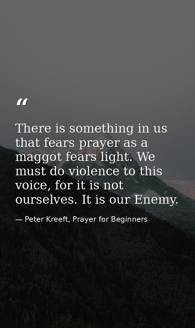 There is something in us that fears prayer as a maggot fears light. We must do violence to this voice, for it is not our — Peter Kreeft, Prayer for Beginners