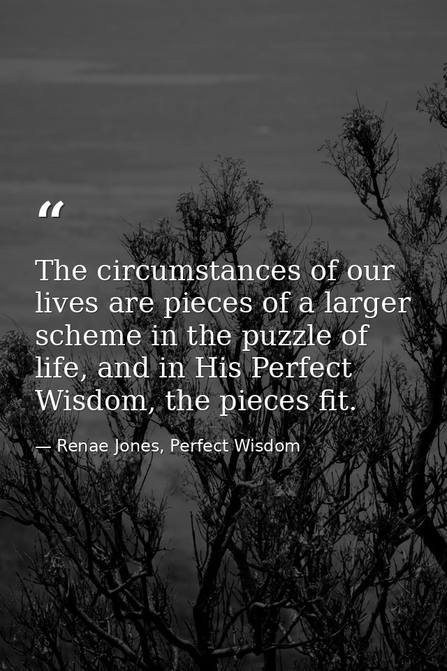 The circumstances of our lives are pieces of a larger scheme in the puzzle of life, and in His Perfect Wisdom, the piece — Renae Jones, Perfect Wisdom