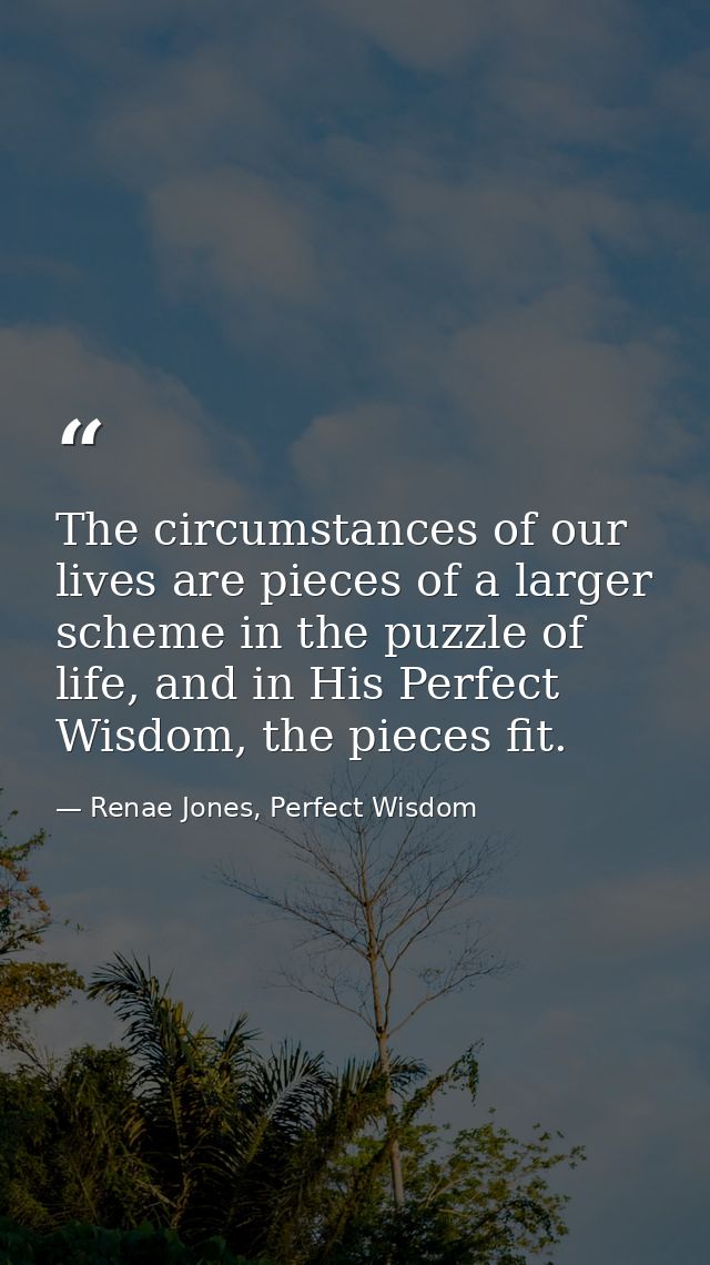 The circumstances of our lives are pieces of a larger scheme in the puzzle of life, and in His Perfect Wisdom, the piece — Renae Jones, Perfect Wisdom