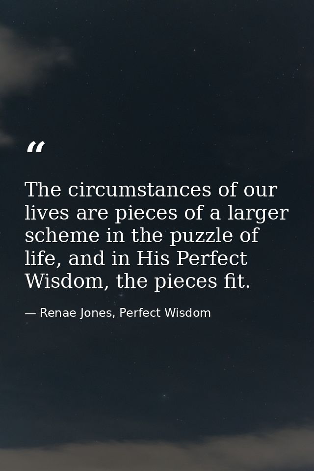 The circumstances of our lives are pieces of a larger scheme in the puzzle of life, and in His Perfect Wisdom, the piece — Renae Jones, Perfect Wisdom