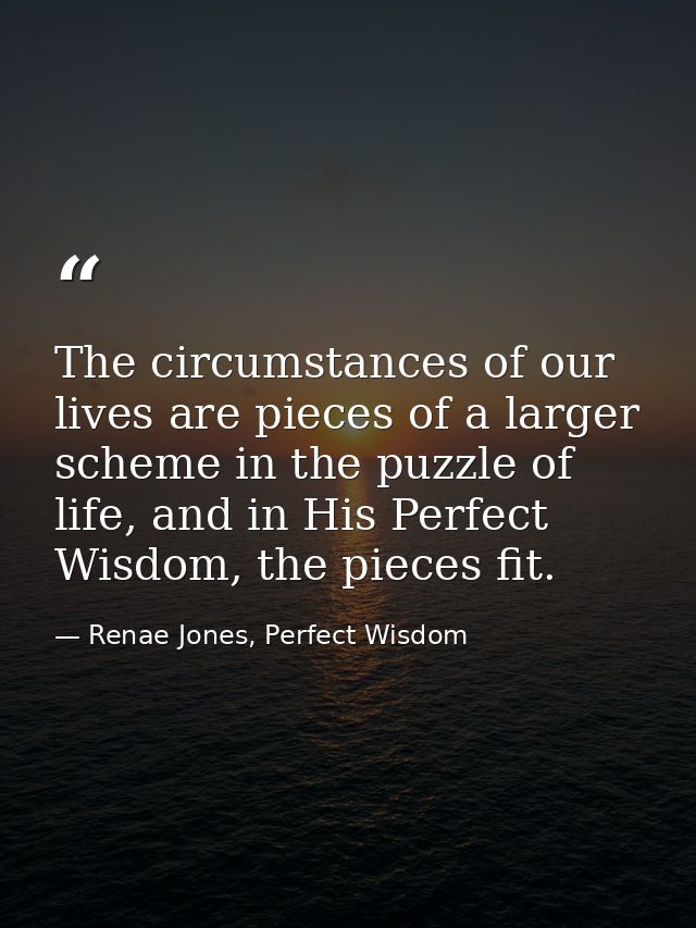 The circumstances of our lives are pieces of a larger scheme in the puzzle of life, and in His Perfect Wisdom, the piece — Renae Jones, Perfect Wisdom