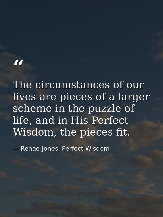The circumstances of our lives are pieces of a larger scheme in the puzzle of life, and in His Perfect Wisdom, the piece — Renae Jones, Perfect Wisdom