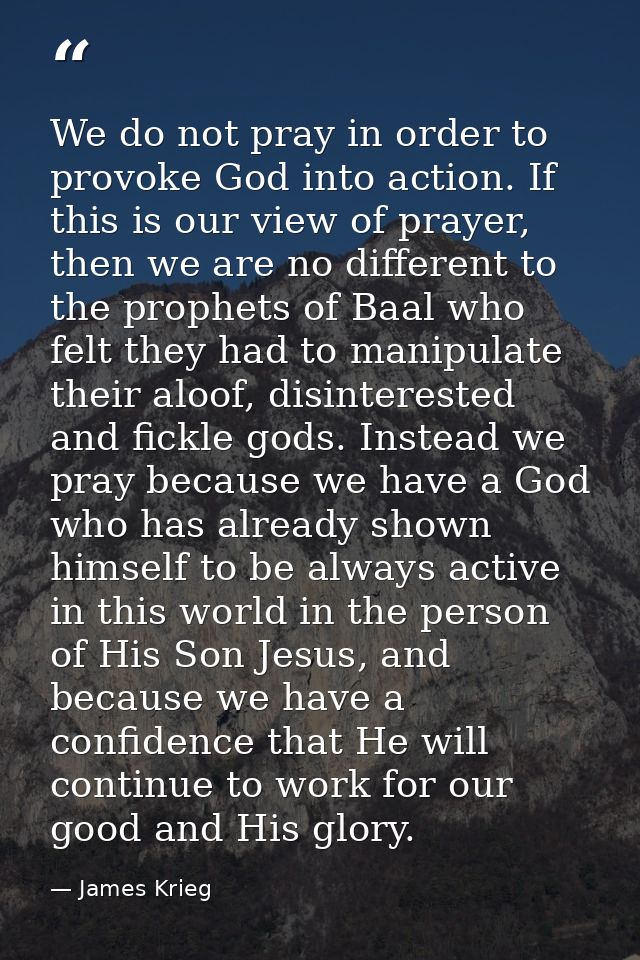We do not pray in order to provoke God into action. If this is our view of prayer, then we are no different to the proph — James Krieg