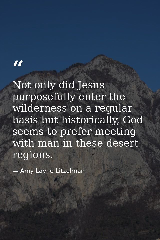 Not only did Jesus purposefully enter the wilderness on a regular basis but historically, God seems to prefer meeting wi — Amy Layne Litzelman