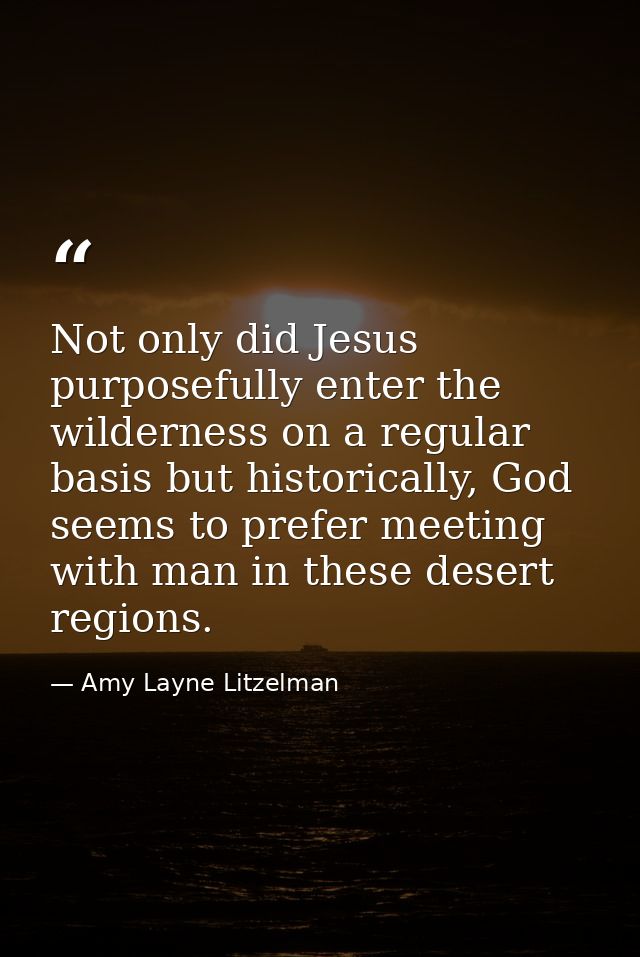 Not only did Jesus purposefully enter the wilderness on a regular basis but historically, God seems to prefer meeting wi — Amy Layne Litzelman