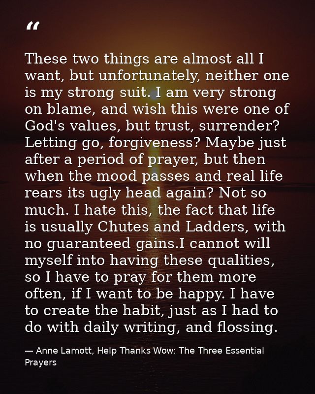 These two things are almost all I want, but unfortunately, neither one is my strong suit. I am very strong on blame, and — Anne Lamott, Help Thanks Wow: The Three Essential Prayers