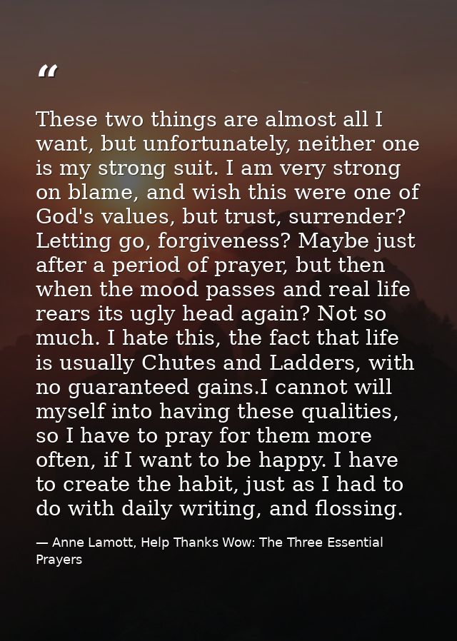 These two things are almost all I want, but unfortunately, neither one is my strong suit. I am very strong on blame, and — Anne Lamott, Help Thanks Wow: The Three Essential Prayers