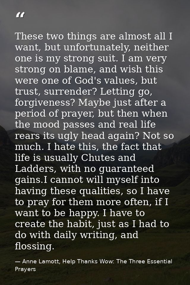 These two things are almost all I want, but unfortunately, neither one is my strong suit. I am very strong on blame, and — Anne Lamott, Help Thanks Wow: The Three Essential Prayers