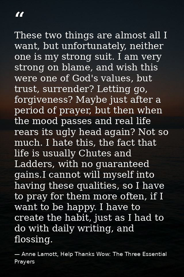These two things are almost all I want, but unfortunately, neither one is my strong suit. I am very strong on blame, and — Anne Lamott, Help Thanks Wow: The Three Essential Prayers