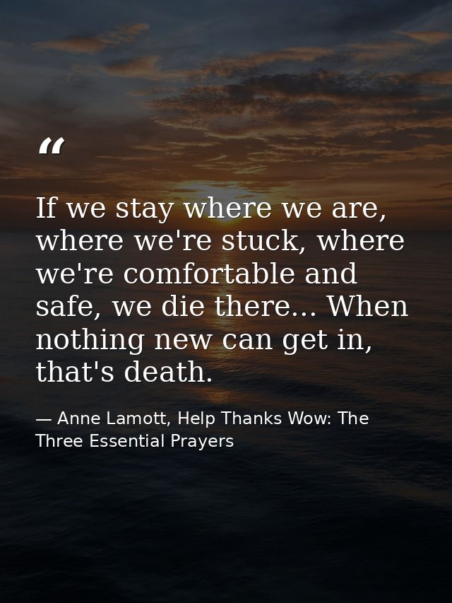 If we stay where we are, where we're stuck, where we're comfortable and safe, we die there... When nothing new can get i — Anne Lamott, Help Thanks Wow: The Three Essential Prayers