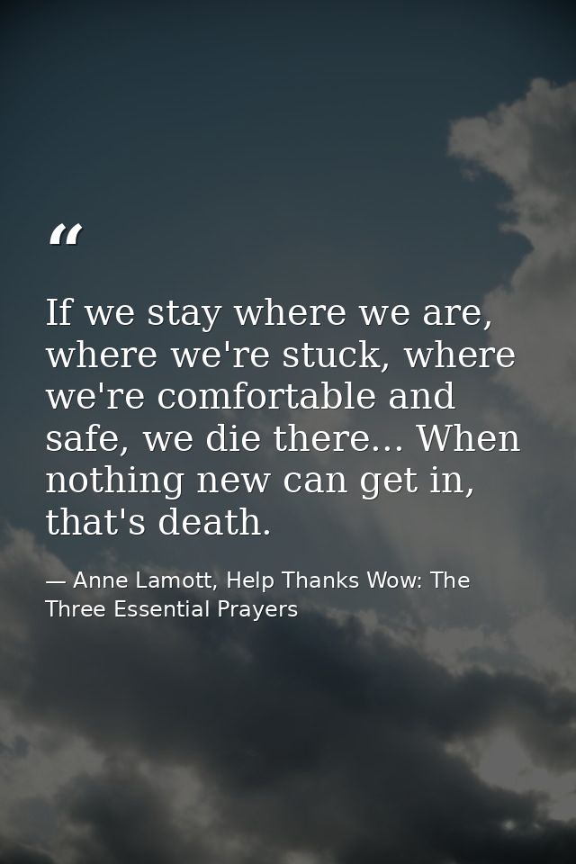 If we stay where we are, where we're stuck, where we're comfortable and safe, we die there... When nothing new can get i — Anne Lamott, Help Thanks Wow: The Three Essential Prayers
