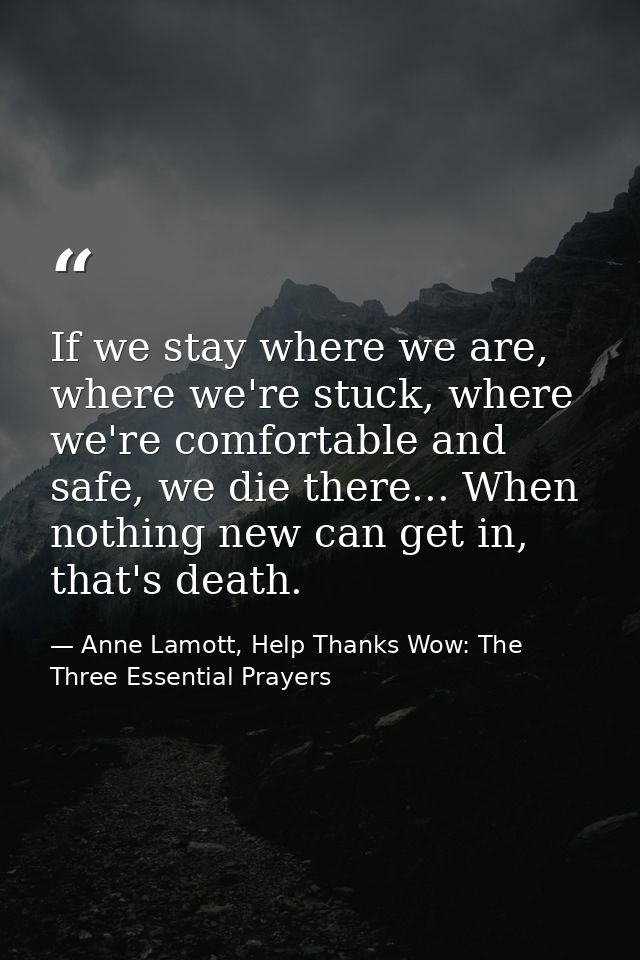 If we stay where we are, where we're stuck, where we're comfortable and safe, we die there... When nothing new can get i — Anne Lamott, Help Thanks Wow: The Three Essential Prayers