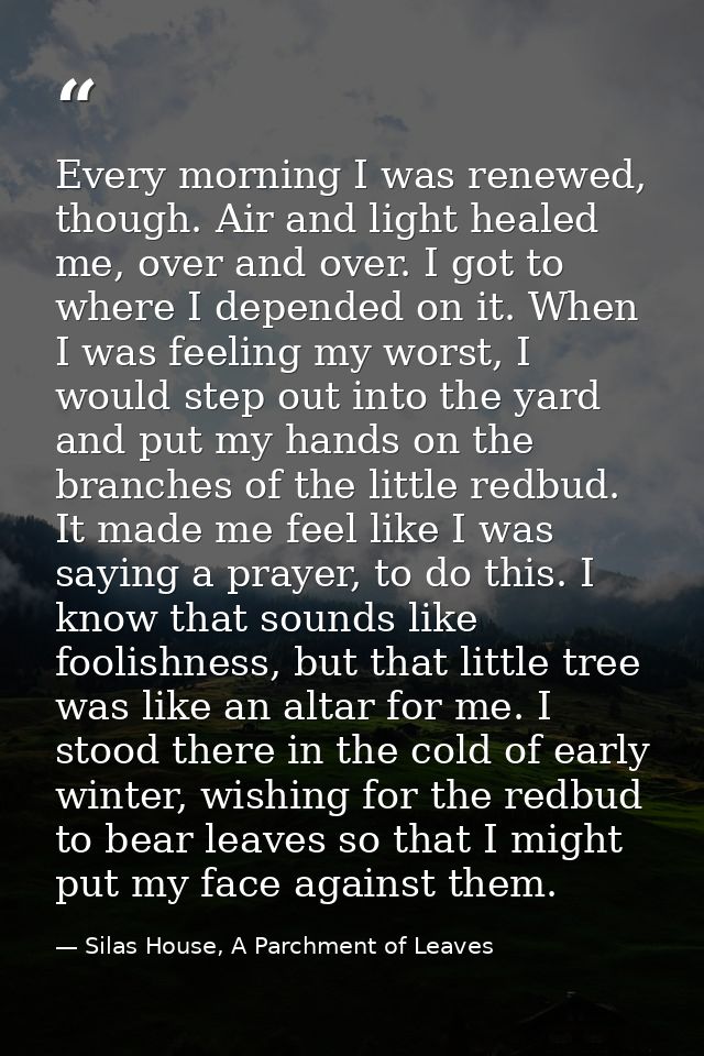 Every morning I was renewed, though. Air and light healed me, over and over. I got to where I depended on it. When I was — Silas House, A Parchment of Leaves