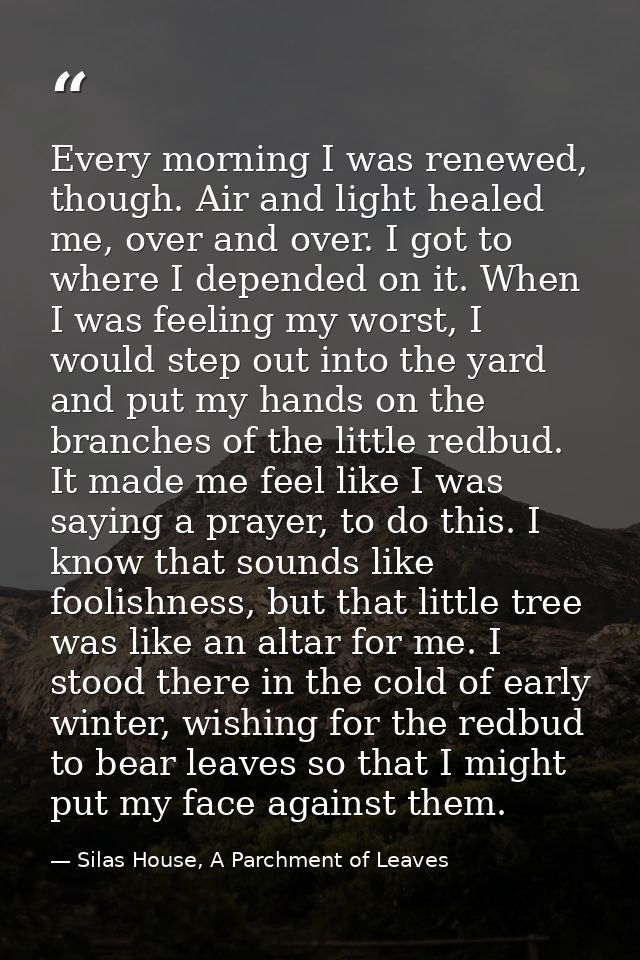 Every morning I was renewed, though. Air and light healed me, over and over. I got to where I depended on it. When I was — Silas House, A Parchment of Leaves
