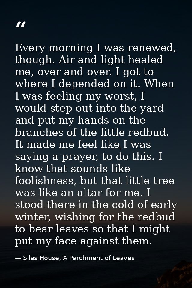 Every morning I was renewed, though. Air and light healed me, over and over. I got to where I depended on it. When I was — Silas House, A Parchment of Leaves