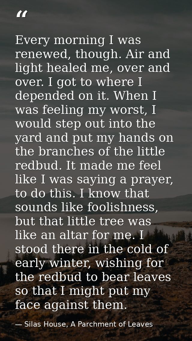 Every morning I was renewed, though. Air and light healed me, over and over. I got to where I depended on it. When I was — Silas House, A Parchment of Leaves