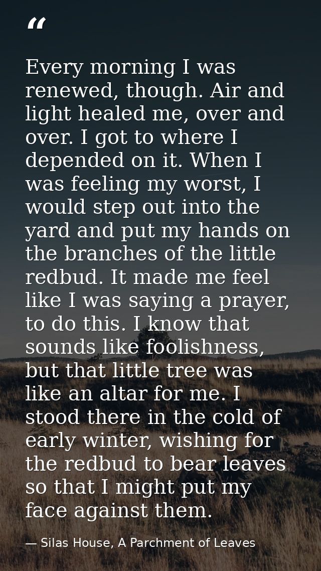 Every morning I was renewed, though. Air and light healed me, over and over. I got to where I depended on it. When I was — Silas House, A Parchment of Leaves