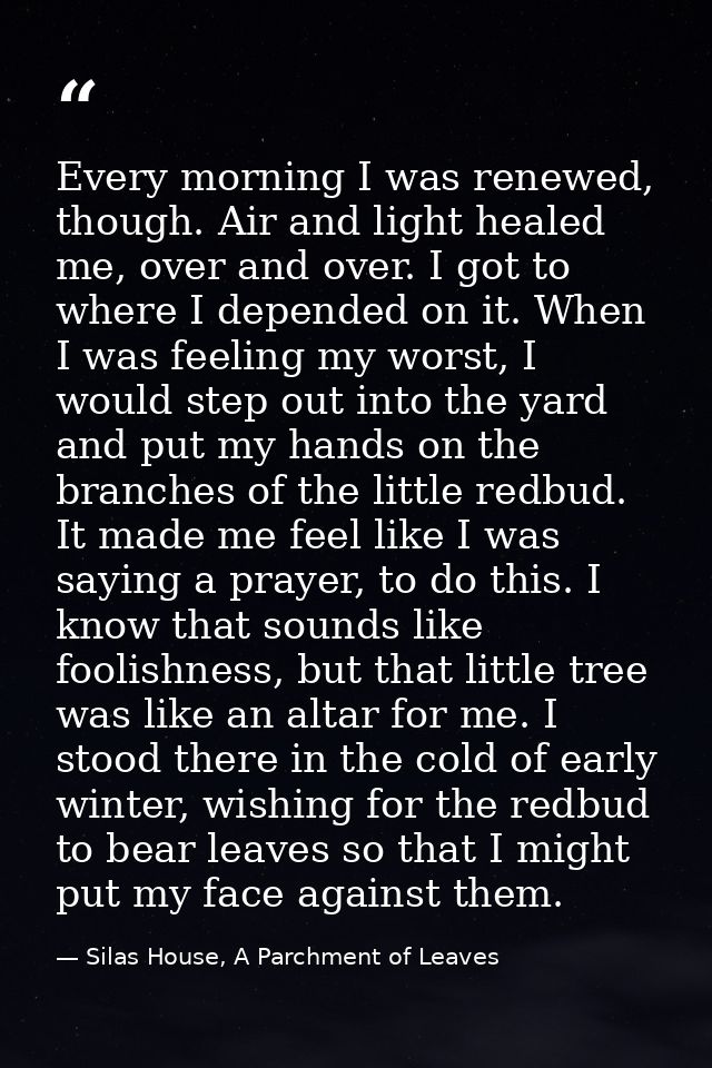 Every morning I was renewed, though. Air and light healed me, over and over. I got to where I depended on it. When I was — Silas House, A Parchment of Leaves